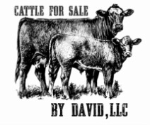 &nbsp; &nbsp;&nbsp; Cattle For Sale by David, LLC